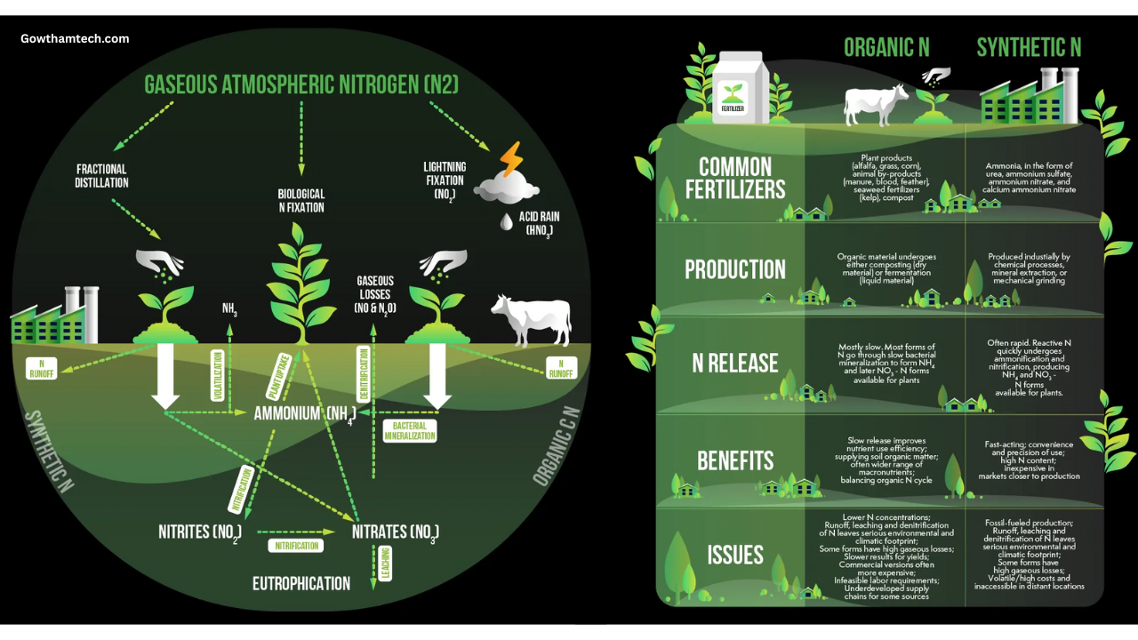 Green Nitrogen Fixation: The Ultimate Guide to Sustainable Future