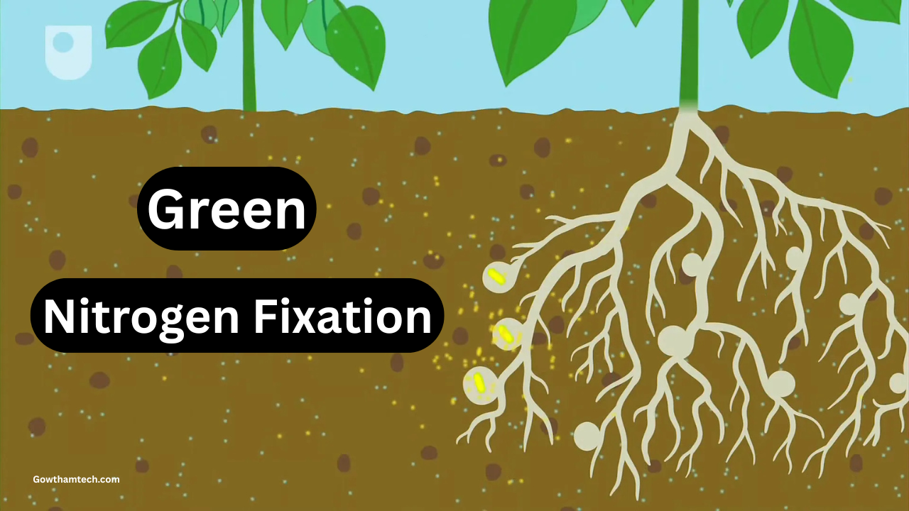 Green Nitrogen Fixation: The Ultimate Guide to Sustainable Future
