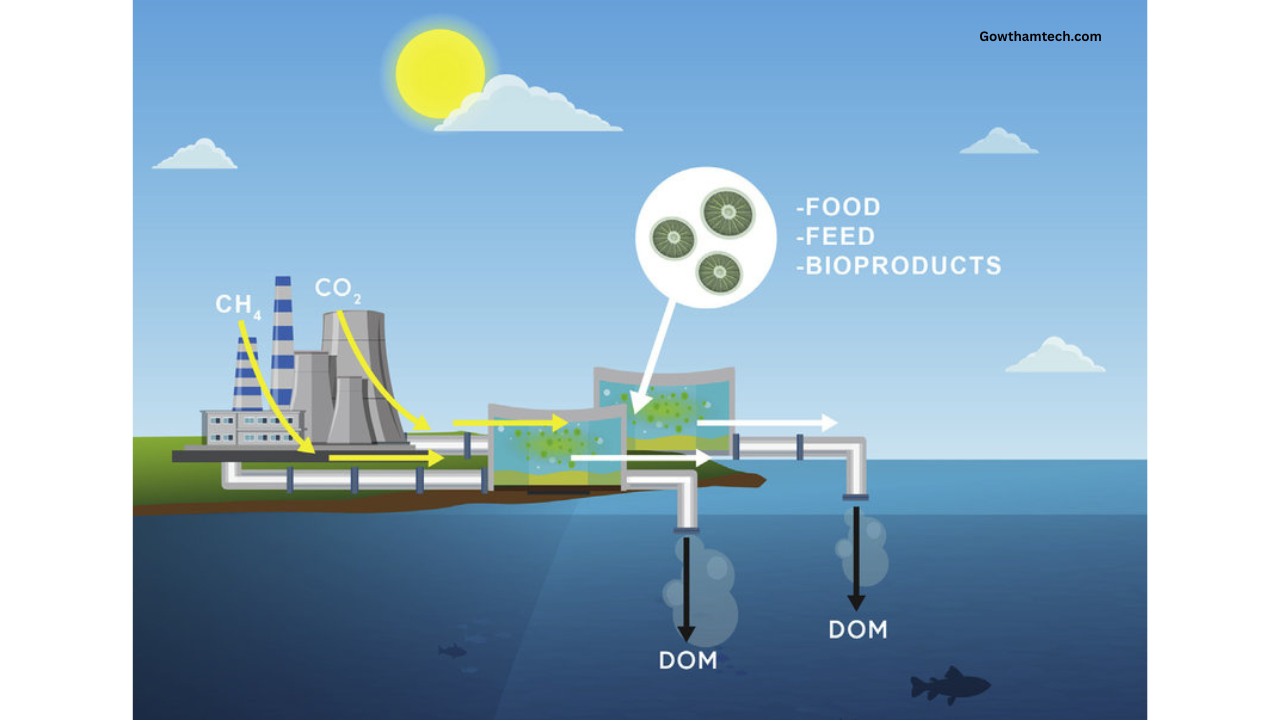 Carbon Capturing Microbes: The Ultimate Guide to Natures Climate Solution