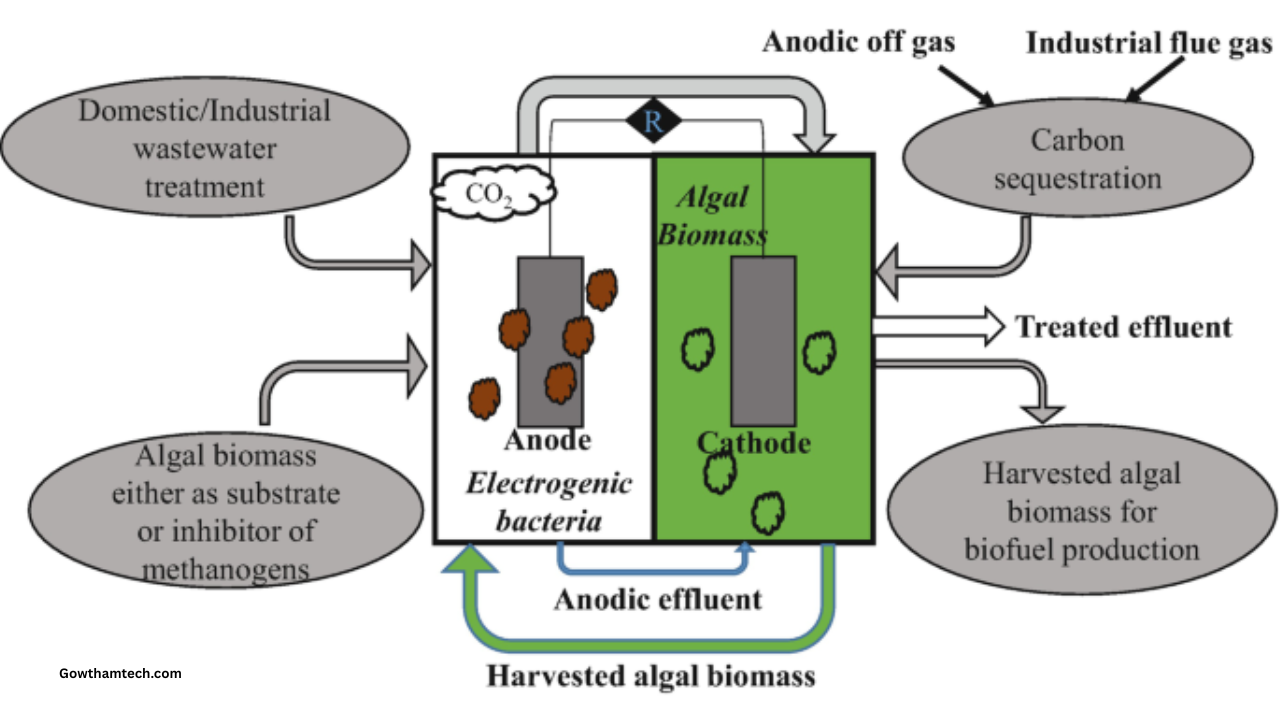 Carbon Capturing Microbes: The Ultimate Guide to Natures Climate Solution