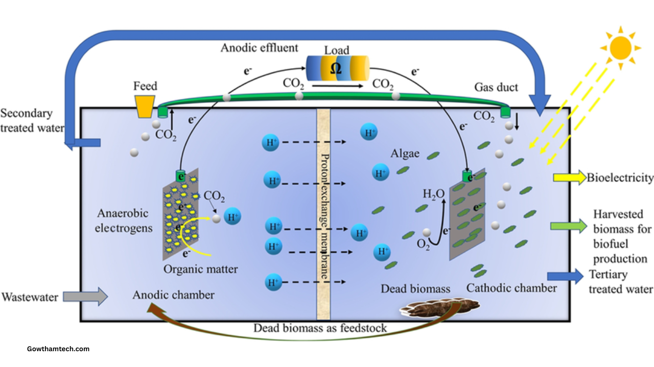 Carbon Capturing Microbes: The Ultimate Guide to Natures Climate Solution