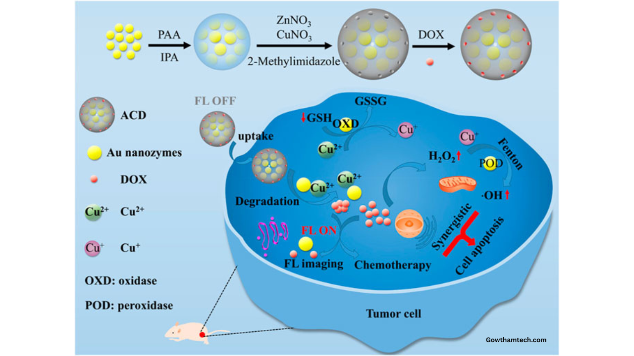 Nanozymes Guide: The Rise of New Generation of Artificial Enzymes
