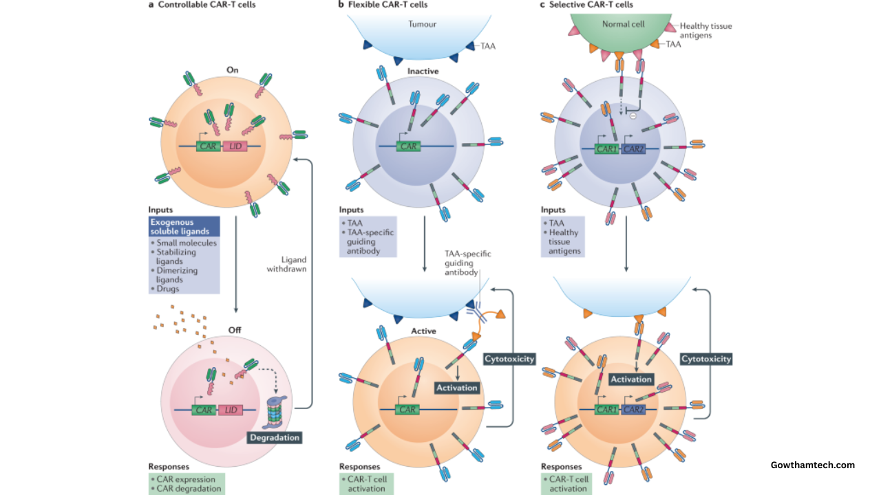 Engineered Living Therapeutics Guide: The Dawn of Smart Living Medicines